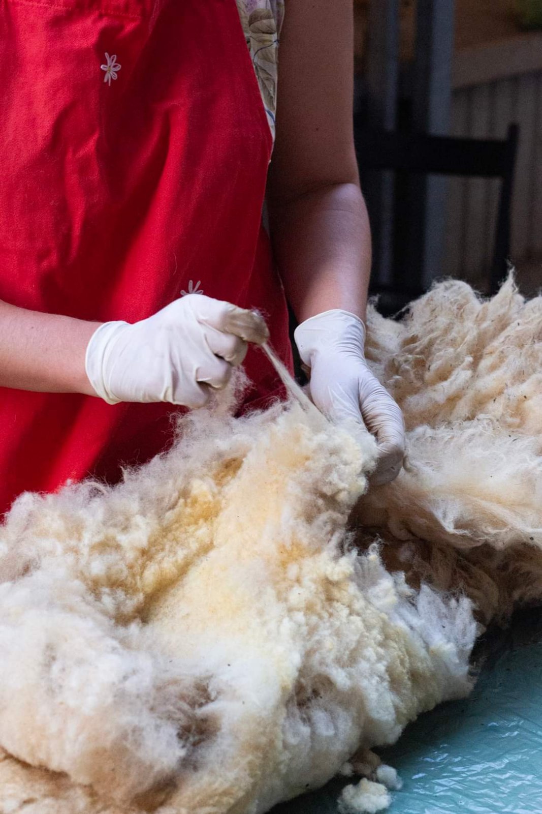 0 02 05 17e95f1d3be5b63597db7632e541ac0974cd3a4e6bb5cdb36368fae0f4980178 2a0cf8aad0d6bc68