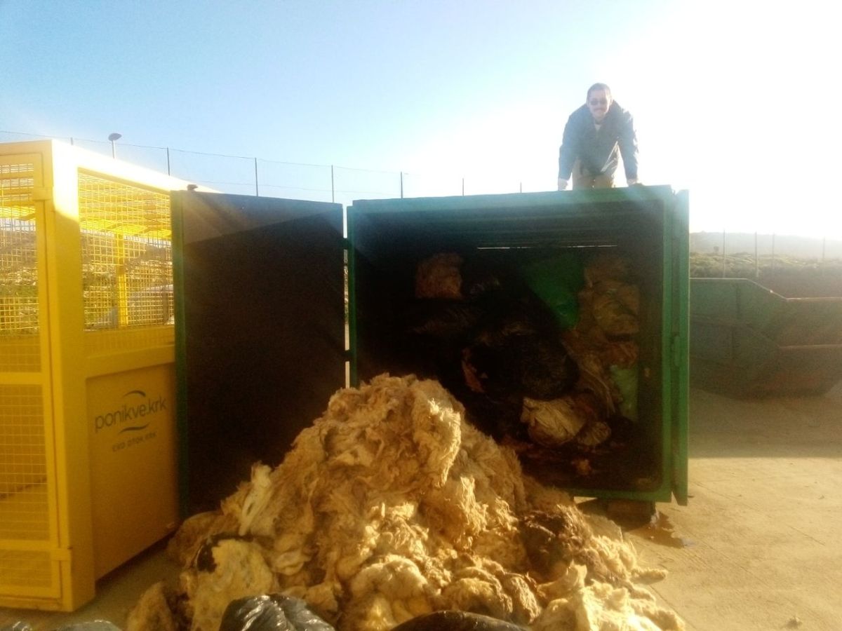 Odvezli smo prikupljenu krčku vunu na obradu u pređu!